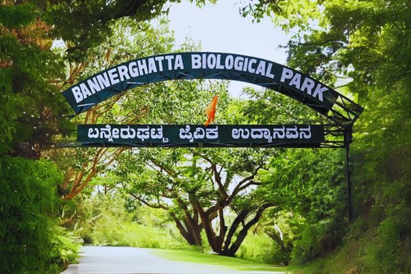 Bannerghatta National Park